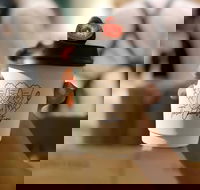 Three Chocolatiers - Penrith