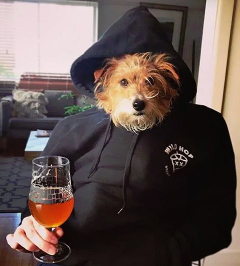 Wild Hop Brewing Company - Accommodation Brisbane 1