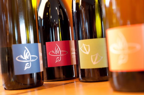 Puddleduck Vineyard - Accommodation Brisbane 2