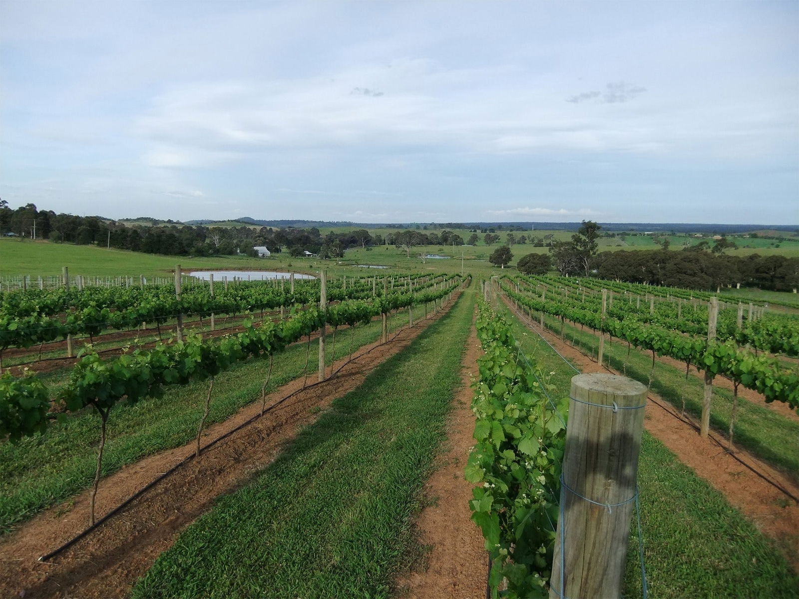 Menangle NSW Accommodation Brisbane