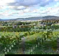 Sassy Wines - Accommodation Brisbane