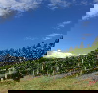 Freycinet Vineyard - Accommodation Brisbane