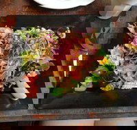 Frogs - Accommodation Brisbane