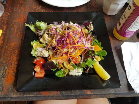 Frogs - Accommodation Brisbane 0