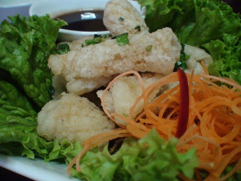 Green Bamboo - Accommodation Brisbane 0