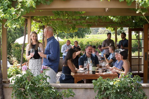 Murray Street Vineyards - Accommodation Brisbane 1