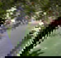 Noosa Waterfront Restaurant - Accommodation Brisbane