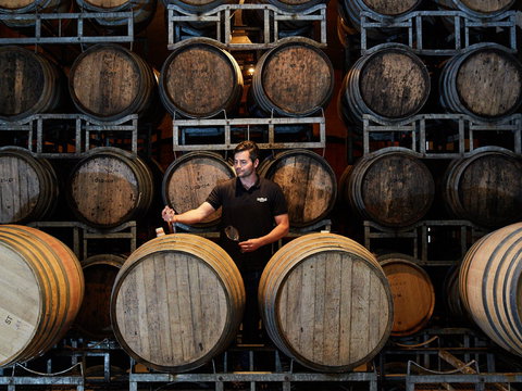 Pipers Brook Vineyard - Accommodation Brisbane 0