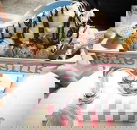 Terrigal Ice Creamery