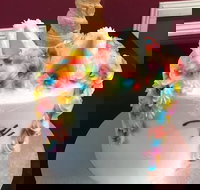 The Cake Gallery - Accommodation Brisbane