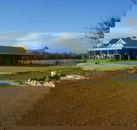 Thomson Brook Wines - Accommodation Brisbane