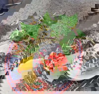 Amarillo - Accommodation Brisbane