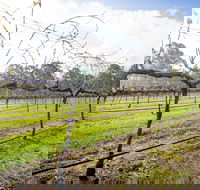 Long Point Vineyard and Art Gallery - Accommodation Brisbane