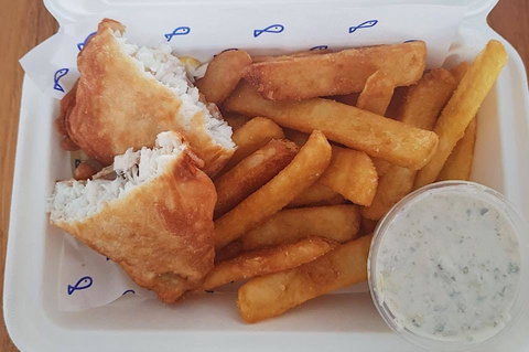 Lucky Fish - Accommodation Brisbane 0