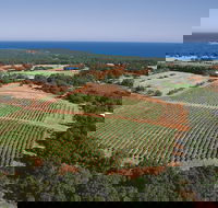 Wise Wine - Accommodation Brisbane