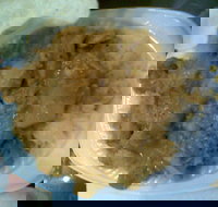 Babalu's - Accommodation Brisbane