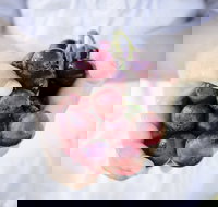 Granitevale Winery - Accommodation Brisbane