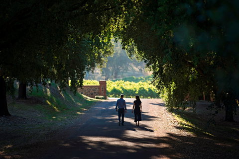 St Hugo - Accommodation Brisbane 1