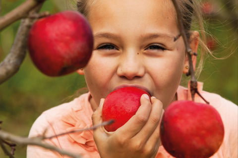 Suttons Juice Factory And Cidery - Accommodation Brisbane 2