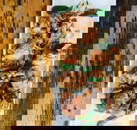 The River Hotel - Accommodation Brisbane