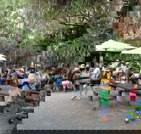 Apollonian Hotel - Accommodation Brisbane