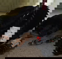 Dog Trap Vineyard - Accommodation Brisbane