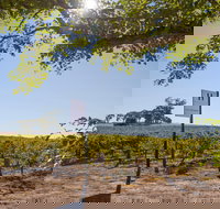 Hayes Family Wines - Accommodation Brisbane