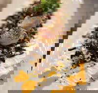 Alphabet St. - Accommodation Brisbane