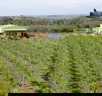 Dindima Wines - Accommodation Brisbane
