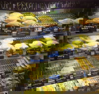 Jesters - Midland - Accommodation Brisbane