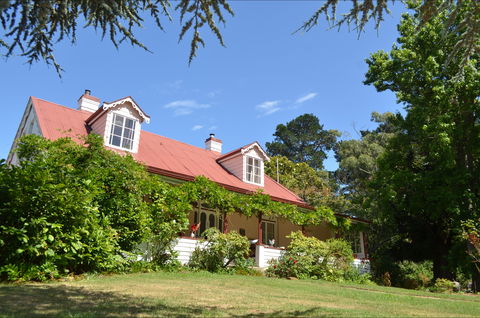 Lazy Teas - Accommodation Brisbane 0