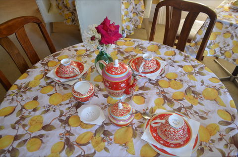 Lazy Teas - Accommodation Brisbane 2