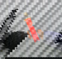 Red Rock Olives - Accommodation Brisbane