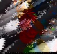 Wiseguy Espresso and Schnitzel Bar - Accommodation Brisbane