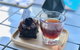 B+C Lab Cafe - thumb 0
