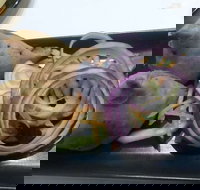 Dark Horse - Accommodation Brisbane