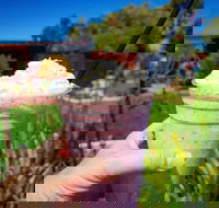 Flower Cellar Door and Cafe - Accommodation Brisbane