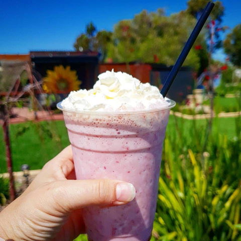 Flower Cellar Door And Cafe - Accommodation Brisbane 0