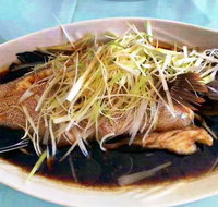 Golden Star BBQ Seafood Chinese Restaurant - Accommodation Brisbane