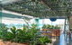 Hurricane's Grill & Bar Surfers Paradise - thumb 0