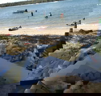 Red emperor - Accommodation Brisbane