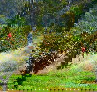 The Red Apron Gourmet Kitchen - Accommodation Brisbane