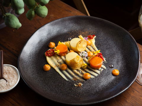 The Peak Restaurant At Spicers Peak Lodge - Accommodation Brisbane 2