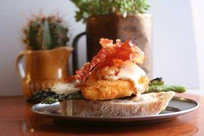 The Coughing Gherkin - Accommodation Brisbane 0