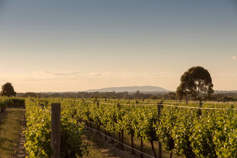 Norton Estate Wines - Accommodation Brisbane 2