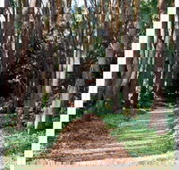 The Field of Dreams Cafe - Accommodation Brisbane