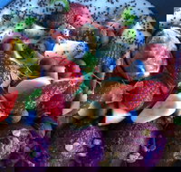 Focus Melbourne - Accommodation Brisbane