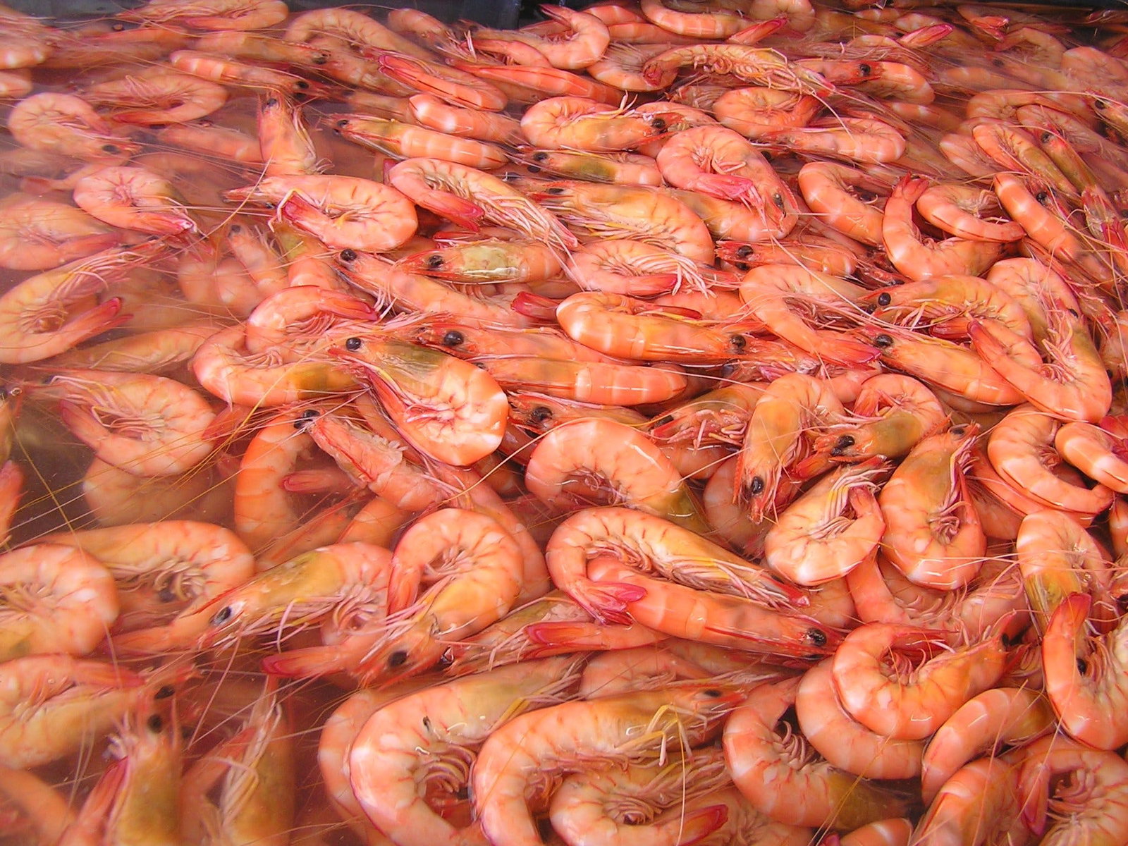 Bundaberg East QLD Accommodation Brisbane