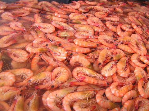 Grunske's By The River Seafood Market And Restaurant - Accommodation Brisbane 0