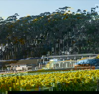 Moores Hill Estate - Accommodation Brisbane